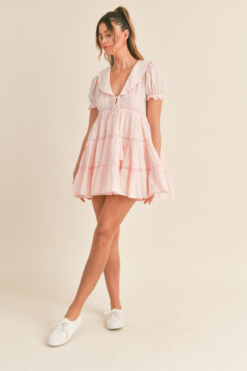 LACEY EMBROIDERED MINI DRESS