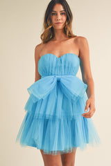 SOLVEIG TULLE TUBE MINI DRESS