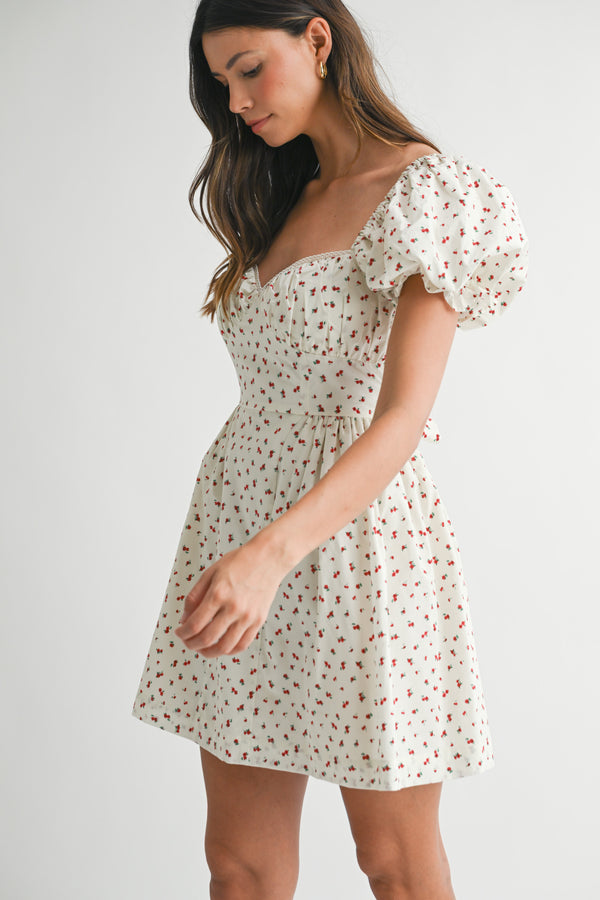 FRANCES PUFF SLEEVE MINI DRESS