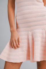 AVIANA KNIT POINTELLE DRESS