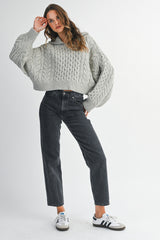 DALIA BRAIDED KNIT CROP HOODIE SWEATER