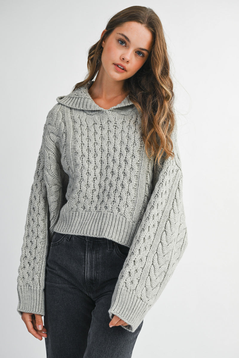 DALIA BRAIDED KNIT CROP HOODIE SWEATER